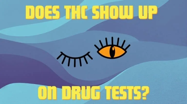 3-min_7225ec83-03a5-49be-b570-02723a523057 - Modern CBD & Wellness Does Delta 9 THC Show Up On A Drug Test