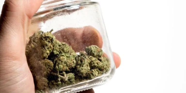 Delta-8-THC-guide-detail - Modern CBD & Wellness Does Delta 9 Lower Blood Pressure