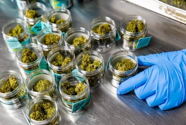 hometown-hero-cbd - Modern CBD & Wellness How To Convert Delta 8 To Delta 9