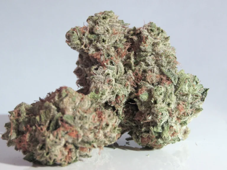 Delta_9_THC_Seltzer_1 - Modern CBD & Wellness