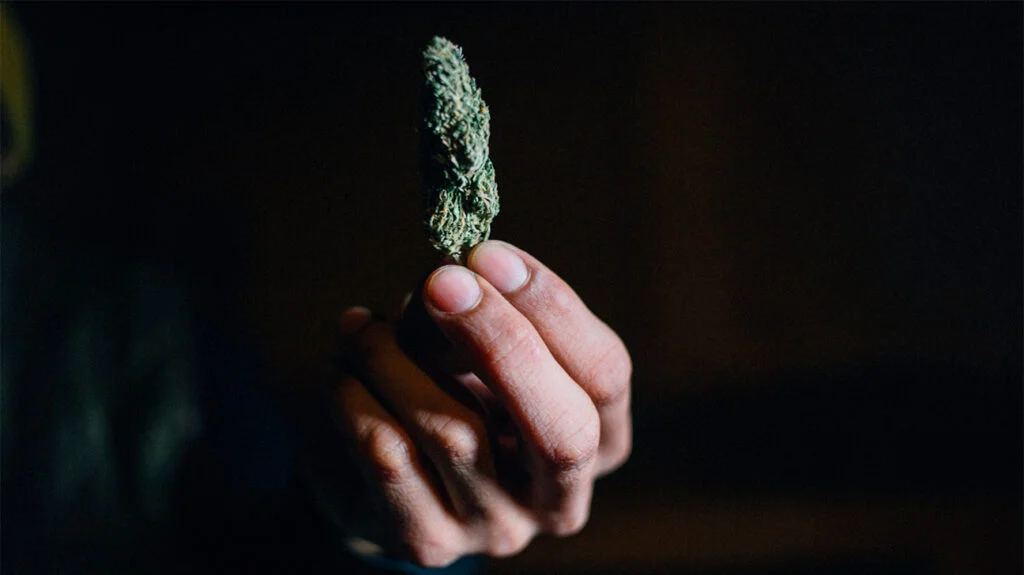 marijuana-bud-migraines-header-1024x575 - Modern CBD & Wellness Does Delta 9 Affect Serotonin