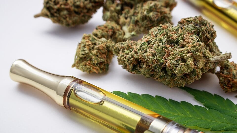 Aegis-Clinical-Update-Image-v122023 - Modern CBD & Wellness