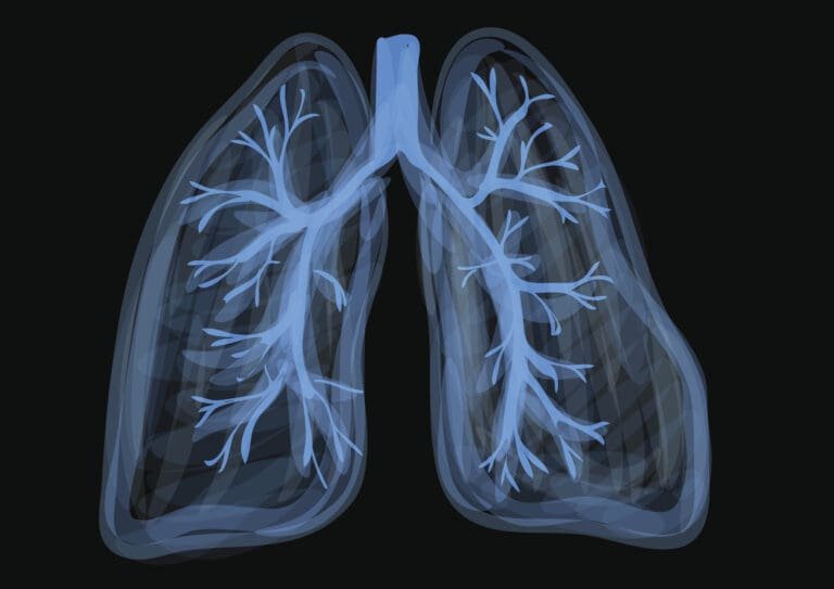 6bdff35d-b4cf-4f04-82ef-fa71423613e1 - Modern CBD & Wellness How Bad Is One Joint A Day For Your Lungs