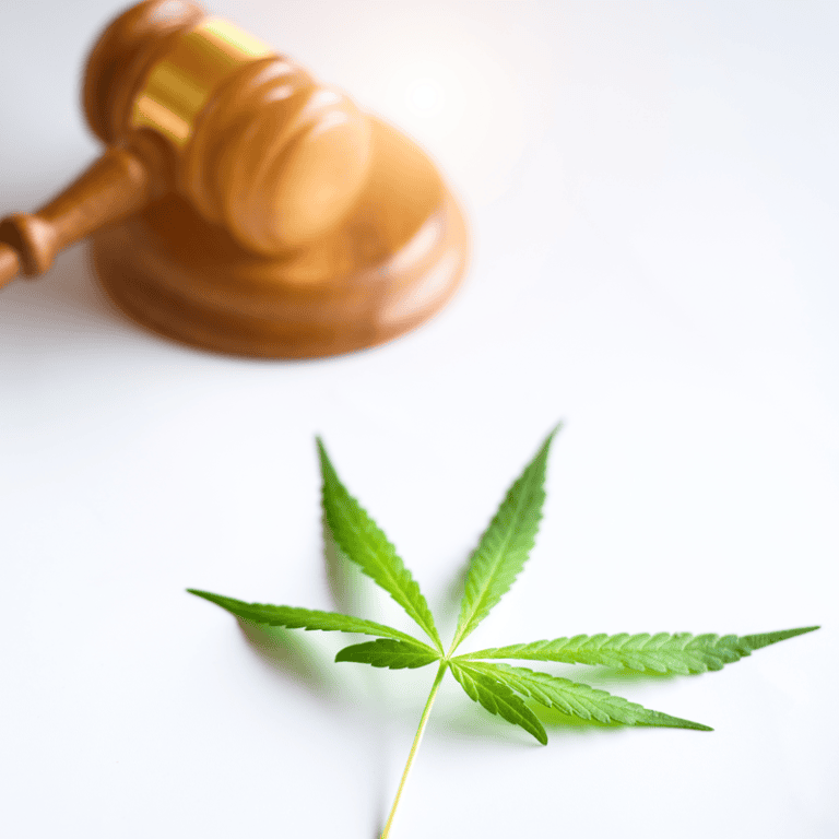 Texas Hemp Update July 2026 - Modern CBD & Wellness Judge's gavel above a cannabis leaf on a white surface, implying marijuana laws or policy themes.