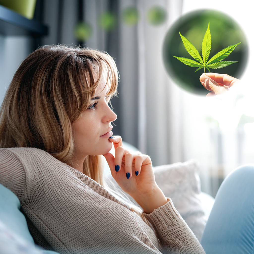 The Best Hemp Near You - Modern CBD & Wellness - Modern CBD & Wellness